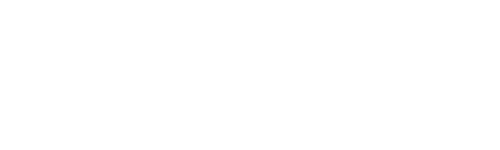 Bao logo
